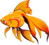 Goldfish With Long Fins Clip Art